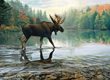 Cobble Hill Moose Crossing | 1000 Piece Puzzle