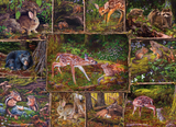 Cobble Hill Into the Woods (Family) | Family Pieces 350 Puzzle