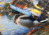 Springbok Mallard Morning Glow Limited Release 1000Pc
