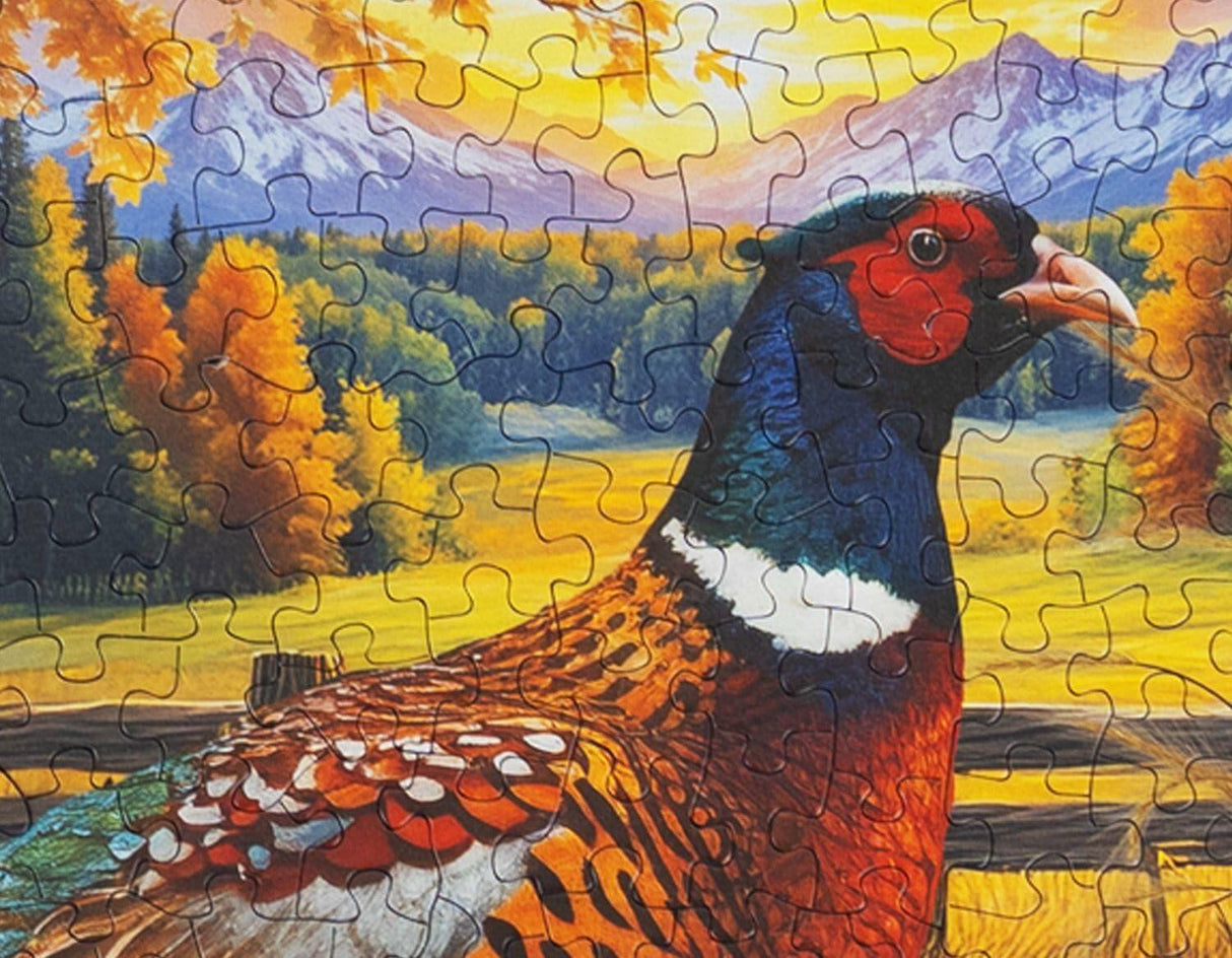 Springbok Golden Fields Pheasant 500Pc