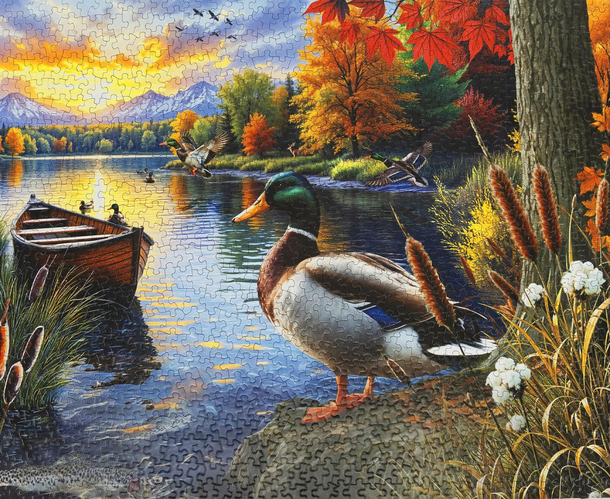 Springbok Mallard Morning Glow Limited Release 1000Pc