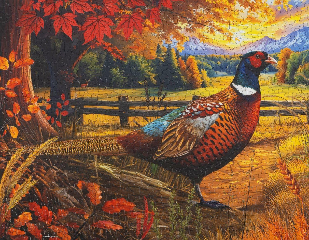 Springbok Golden Fields Pheasant 500Pc