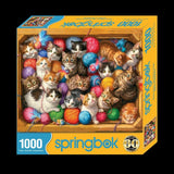 Springbok Kittens Galore 1000Pc