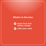 RadioShack Smart AA & AAA Battery Charger 2309332